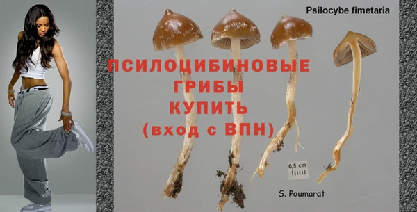 прущие крисы Алзамай