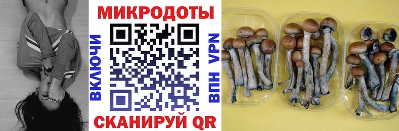 Галлюциногенные грибы Cubensis  Камбарка 